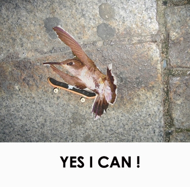 yes i can.jpg
