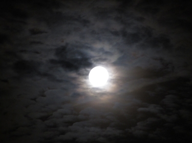 ciel,lune,éclipse,15 juin 2011