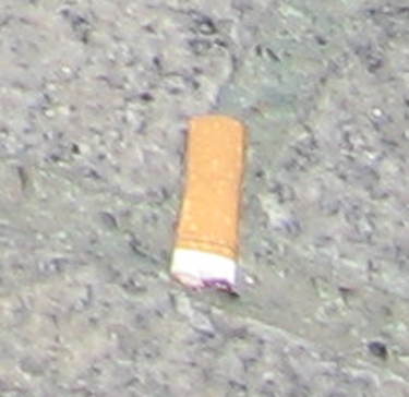 cigarette-butt.jpg