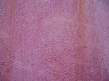 pink-wall-1.jpg