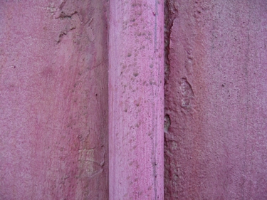 pink-wall-2.jpg