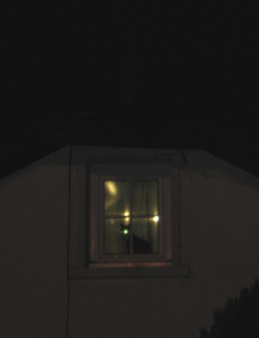 Night-Cat.jpg